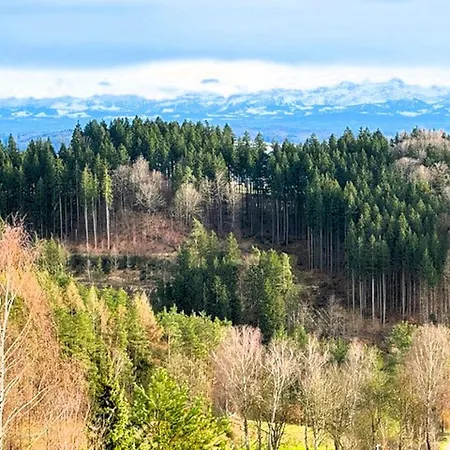 Panoramablick Taisersdorf 80 M² *